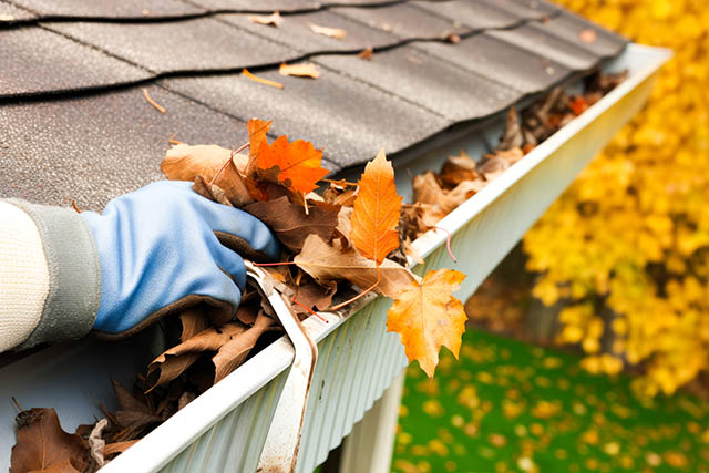 cleaning a gutter full of leaves