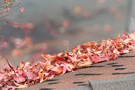 leaves fire hazard